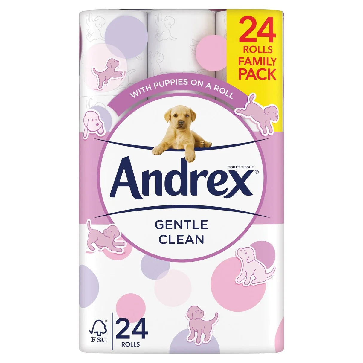 ANDREX GENTLE CLEAN 24 ROLL 24S