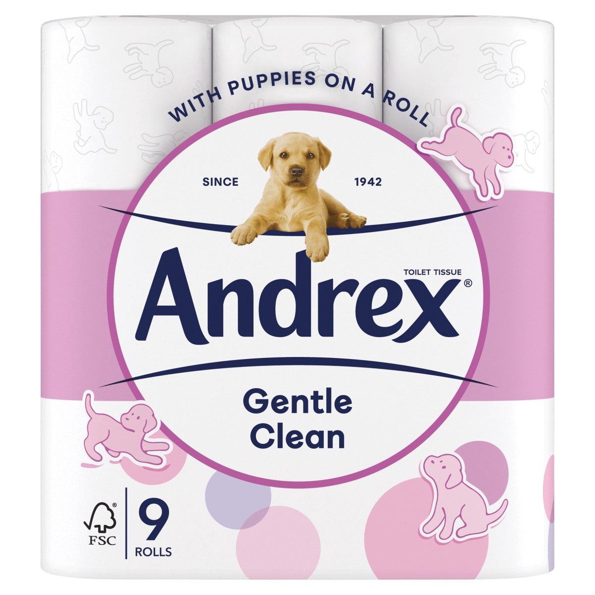 ANDREX GENTLE CLEAN 9 ROLL