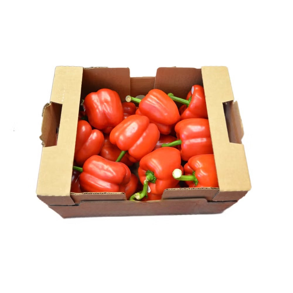 CAPSICUM RED PEPPERS CASE