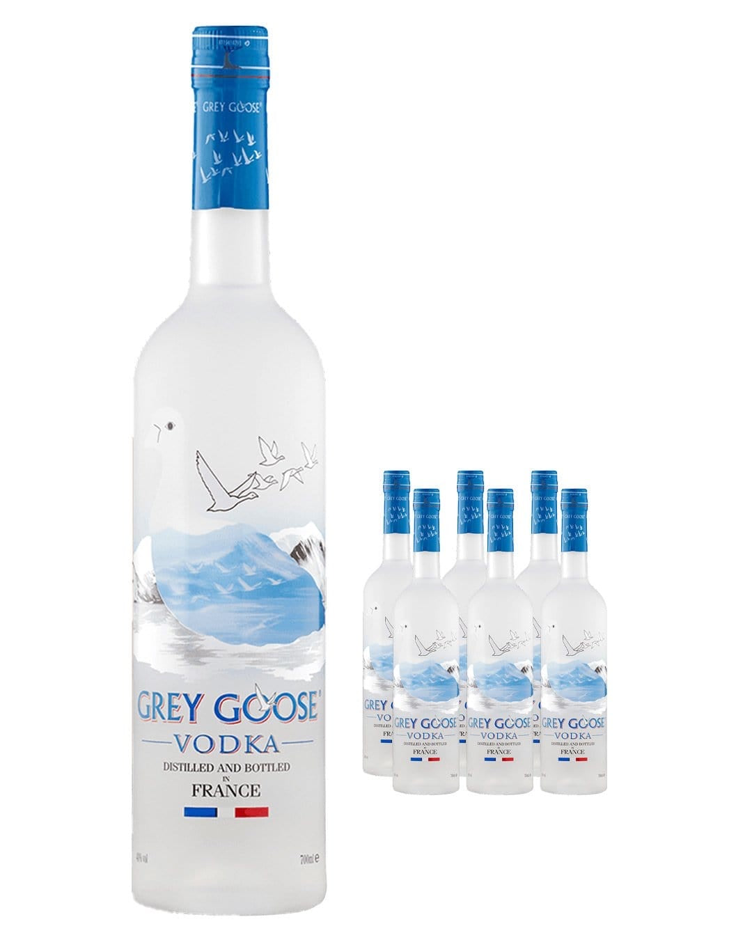 GREY GOOSE ORIGINAL CASE 6PK 70CL