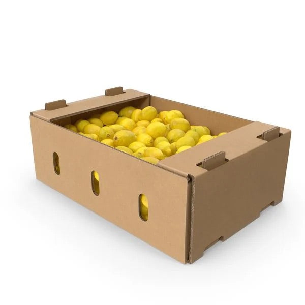 LEMONS YELLOW FULL CASE