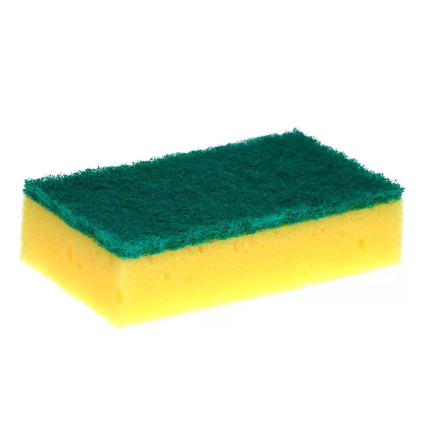 SPONGE SCOURERS LARGE 10PK