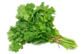 CORIANDER FRESH