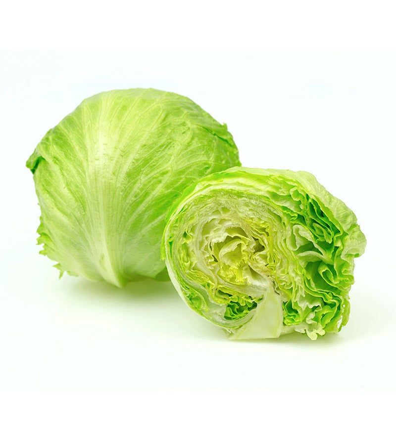 LETTUCE ICEBERG