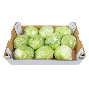 LETTUCE ICEBERG CASE 12PK