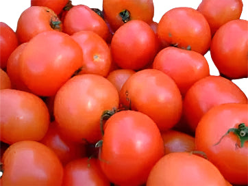 TOMATOES DUTCH FULL CASE