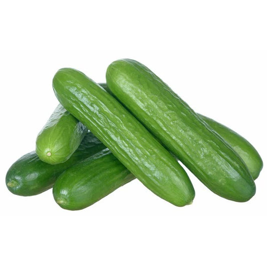 CUCUMBER SMALL CASE 16PK