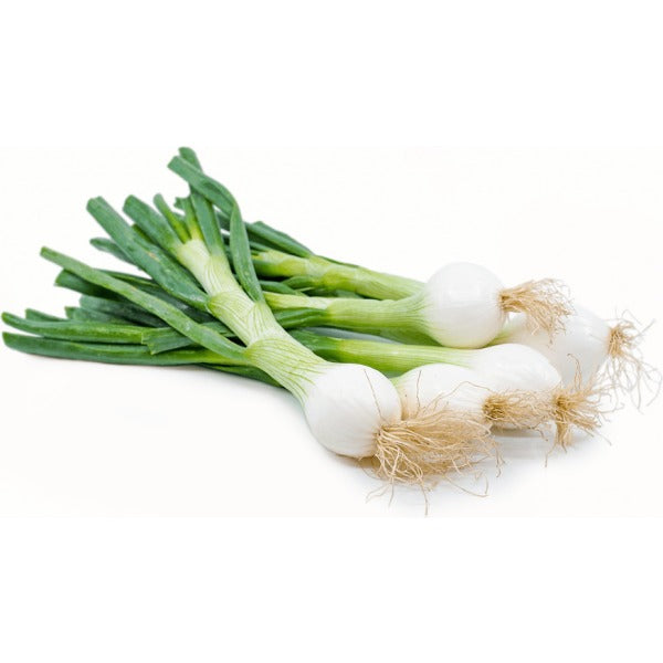 SPRING ONION CASE 10PK