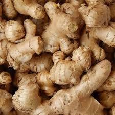 GINGER PACK