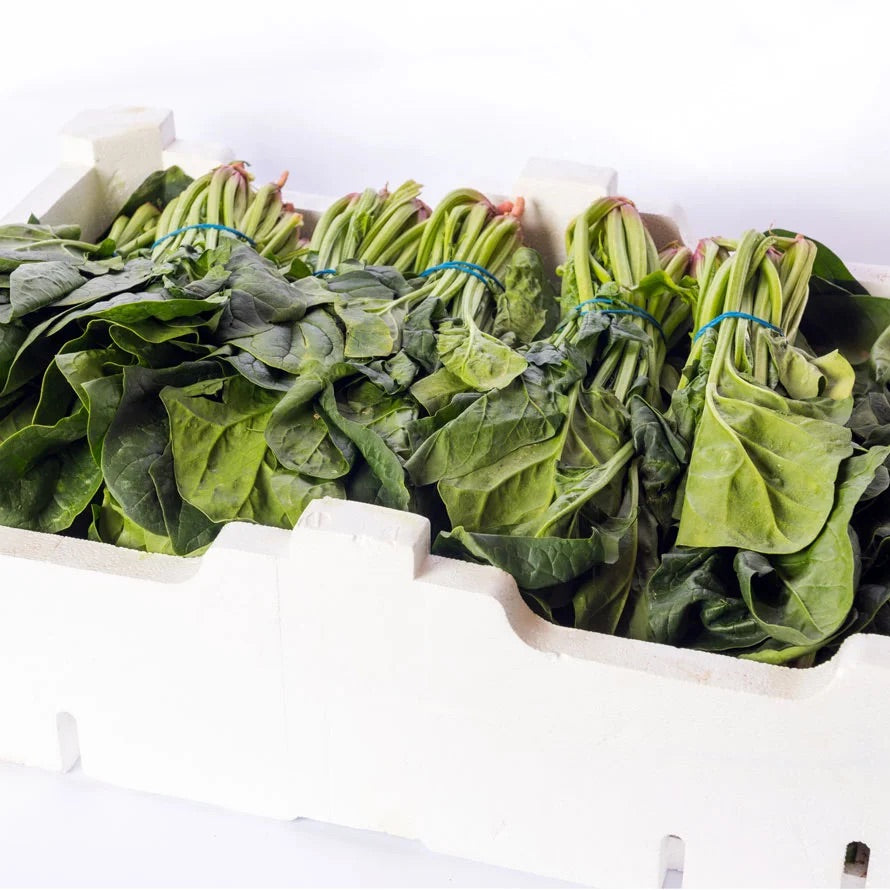 PALAK FRESH BOX 20PK